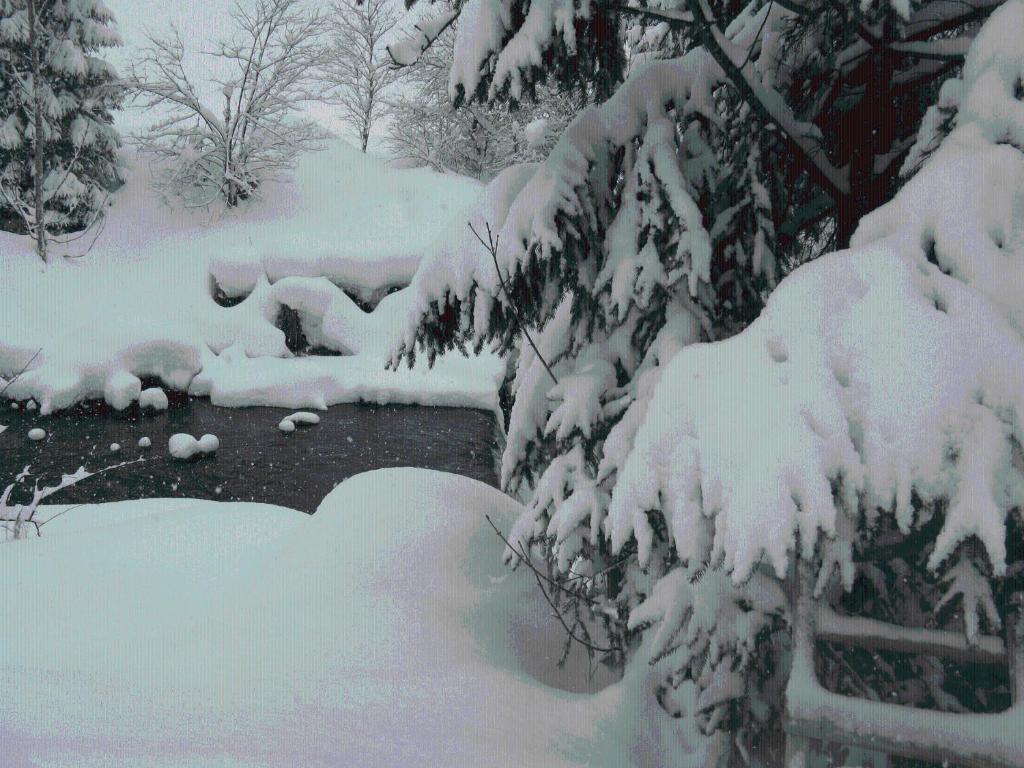 Landgasthof Dorferwirt Oberau Bagian luar foto
